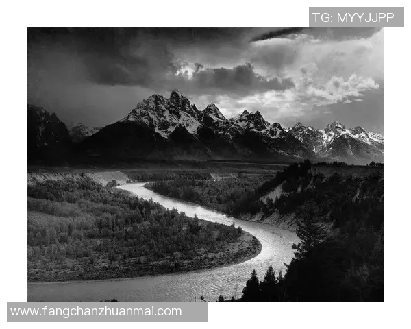 亚当斯的传奇人生与影响力探讨：从科学到文化的多重视角