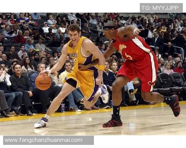 蓝网与老鹰激战七场最终以4比3胜出精彩瞬间回顾