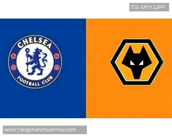 切尔西对阵狼队精彩直播全程回顾与赛后分析